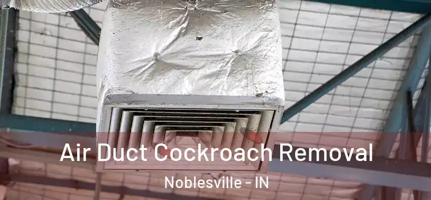  Air Duct Cockroach Removal Noblesville - IN