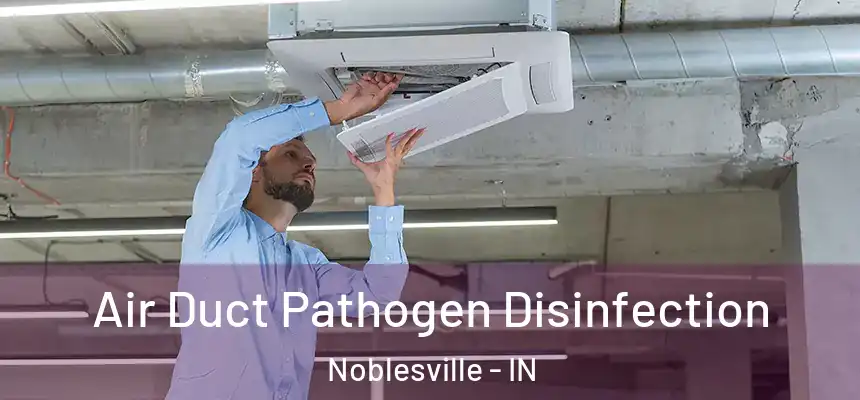  Air Duct Pathogen Disinfection Noblesville - IN
