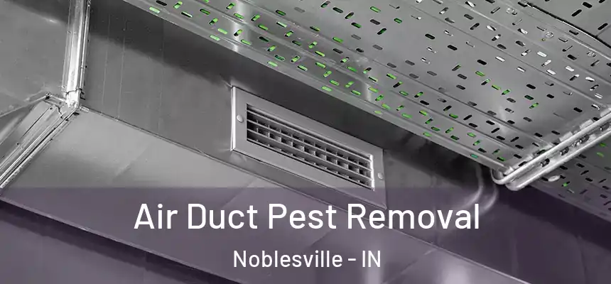  Air Duct Pest Removal Noblesville - IN