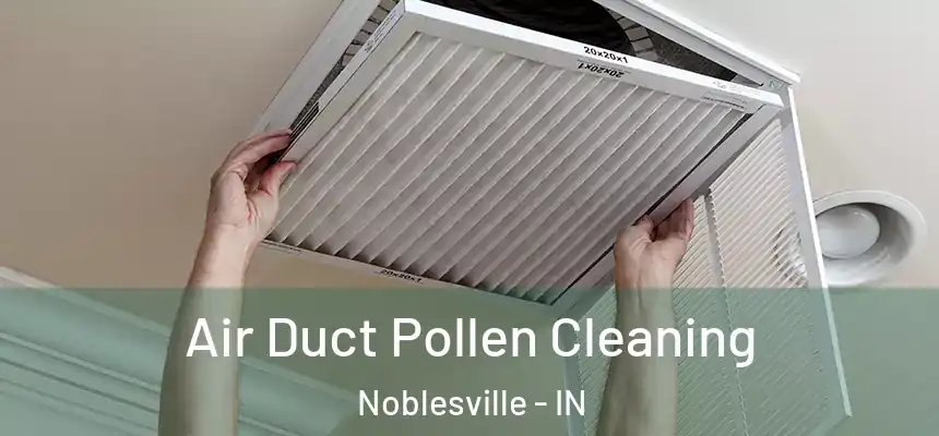Air Duct Pollen Cleaning Noblesville - IN