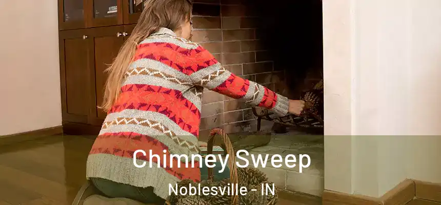 Chimney Sweep Noblesville - IN