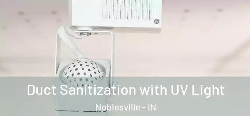 Duct Sanitization with UV Light Noblesville - IN