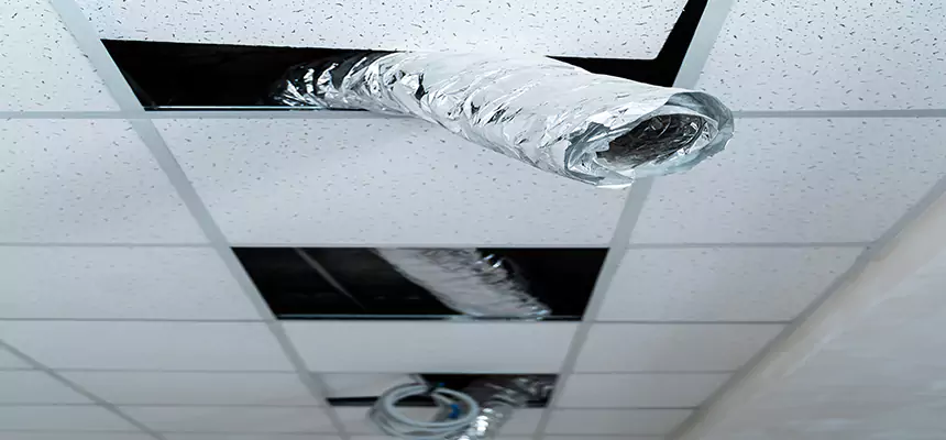 Our Air Duct Pet Hair Removal Services in Noblesville, IN