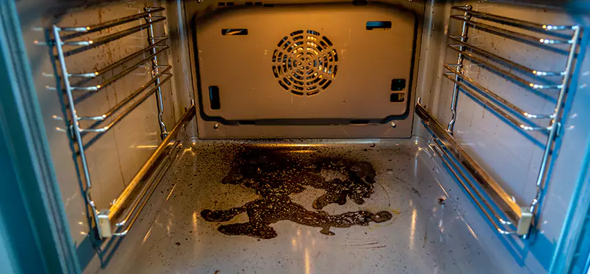 Our Dryer Vent Mold Cleaning Services in Noblesville, IN