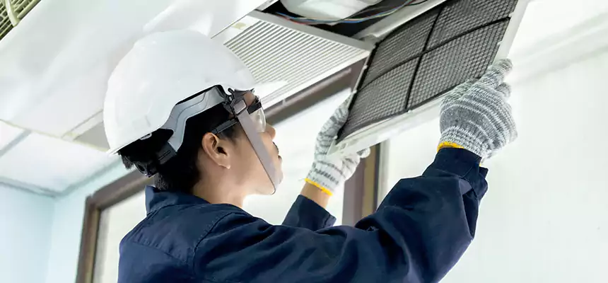 Our Mold & Mildew Removal from Air Ducts Services in Noblesville, IN