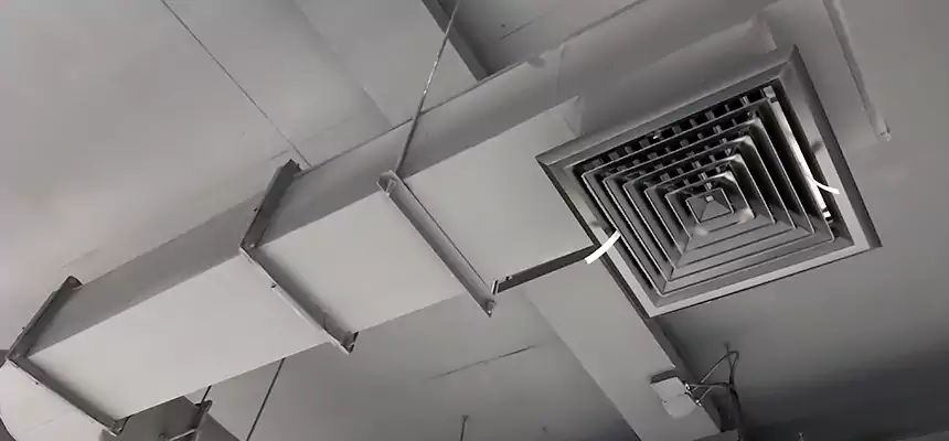 Our Pest Removal From Ducts Services in Noblesville, IN