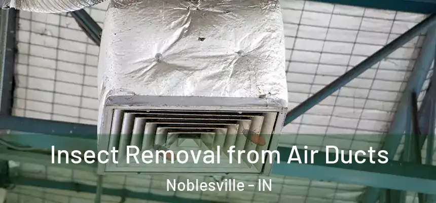  Insect Removal from Air Ducts Noblesville - IN