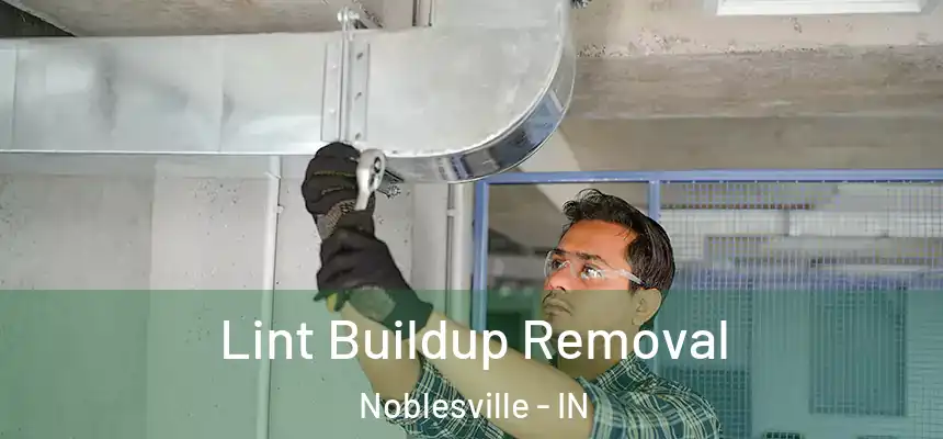 Lint Buildup Removal Noblesville - IN