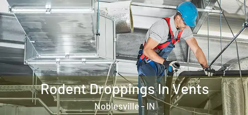  Rodent Droppings In Vents Noblesville - IN