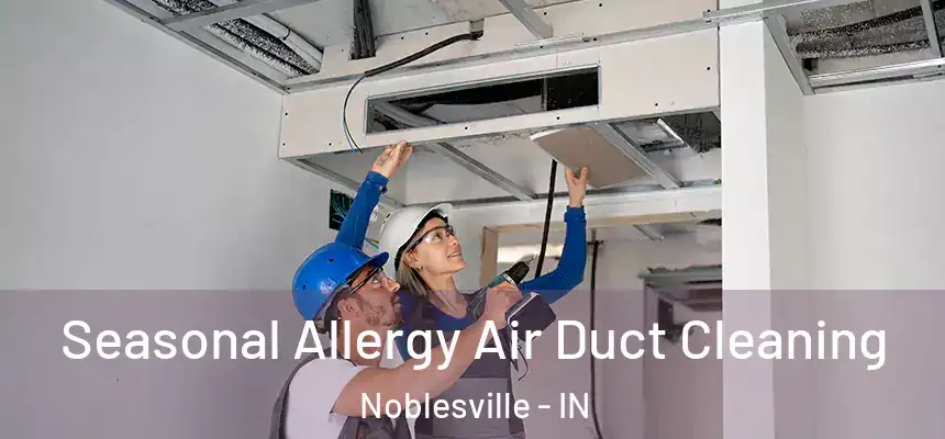  Seasonal Allergy Air Duct Cleaning Noblesville - IN