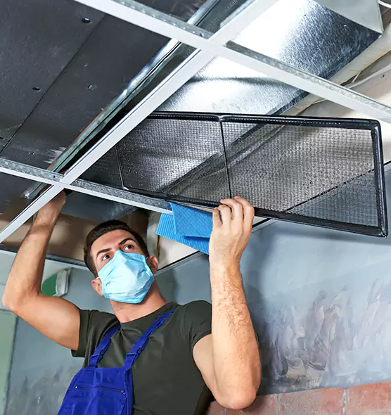 About Air Duct Bacteria Removal in Noblesville
