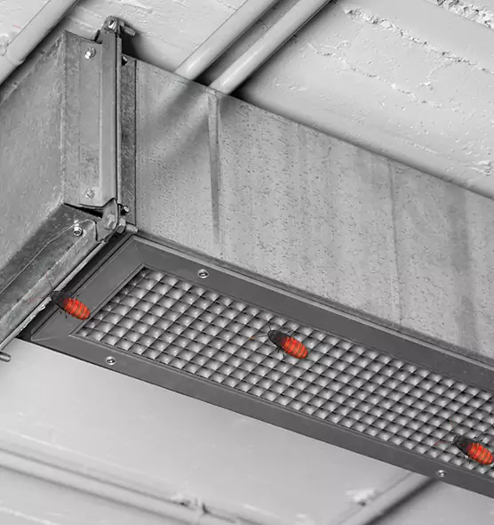 About Air Duct Cockroach Removal in Noblesville, IN