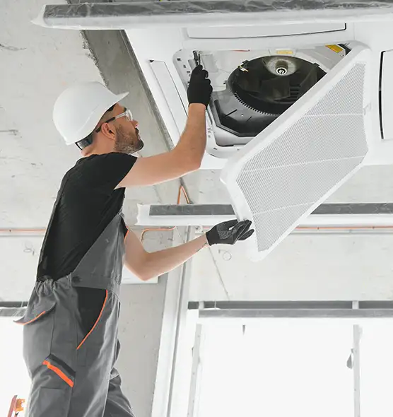 About Air Duct Rodent Removal in Noblesville, IN