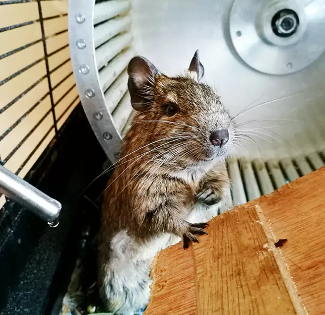 Why Homeowners & Businesses Trust Us Noblesville, IN