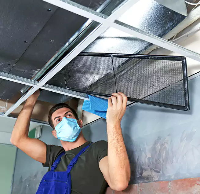 Why Homeowners Businesses Trust Us in Noblesville, IN