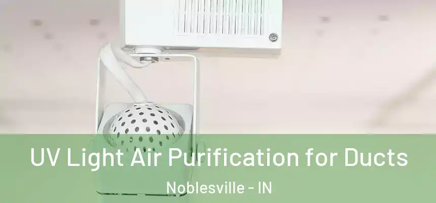 UV Light Air Purification for Ducts Noblesville - IN